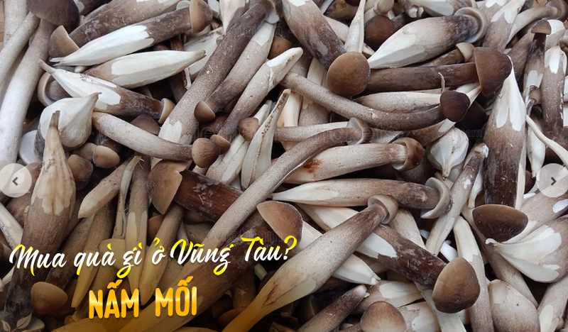 Mua quà gì ở Vũng Tàu? Nấm mối