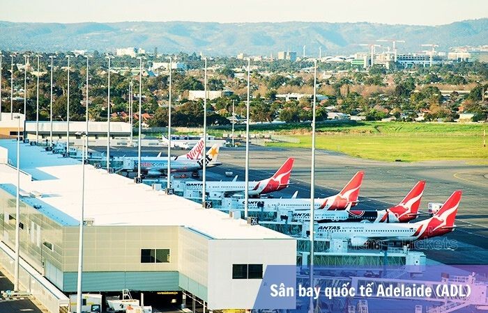 Khu vực sân đỗ tàu bay tại sân bay Adelaide (ADL)