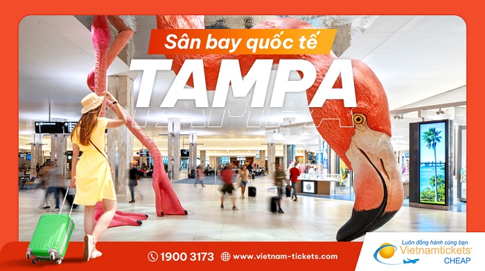 Sân bay quốc tế Tampa (TPA) | Cẩm nang du lịch chi tiết nhất