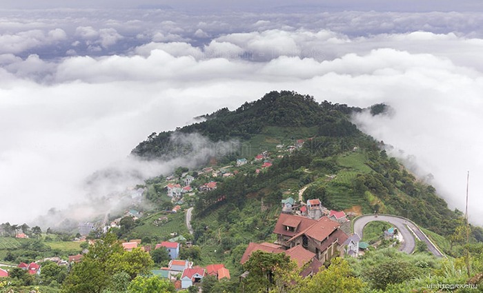 Chiêm ngưỡng cảnh sắc sương mù giăng phủ kín thị trấn Tam Đảo | Tháng 1 nên đi du lịch ở đâu?