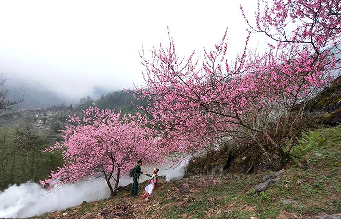 Ngắm hoa đào nở tháng 2 tại Hà Giang | Tháng 2 nên đi du lịch ở đâu?