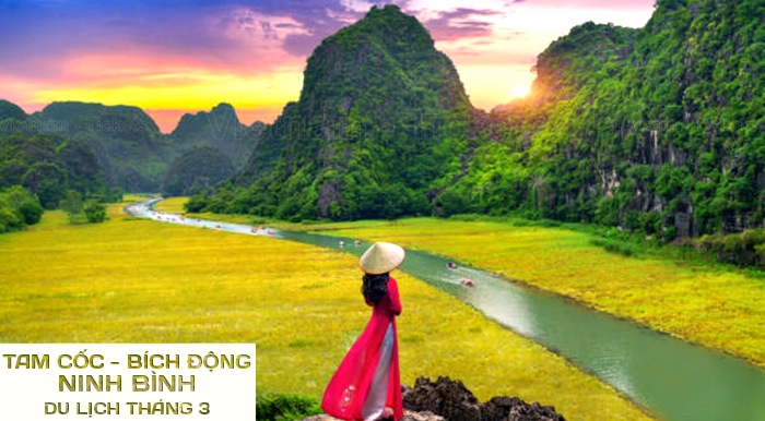 Chiêm ngưỡng vẻ đẹp của Tam Cốc - Ninh Bình | Tháng 3 nên đi du lịch ở đâu?