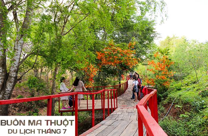 Check-in tại vườn Troh Bư, Buôn Ma Thuột | Tháng 7 nên đi du lịch ở đâu?