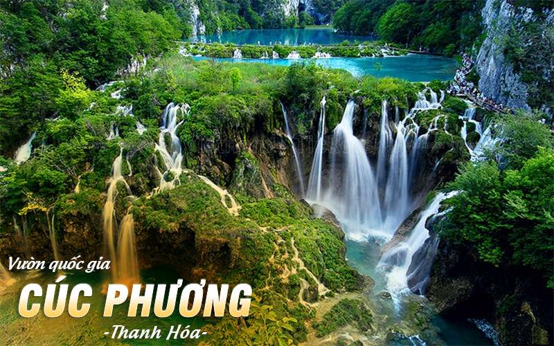 Vườn quốc gia Cúc Phương - kiệt tác thiên nhiên giữa lòng Thanh Hóa | Vé máy bay Cà Mau Thanh Hóa