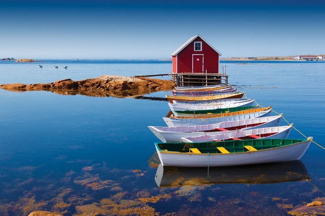 Đảo Fogo là một điểm đến tuyệt vời của Newfoundland và Labrador
