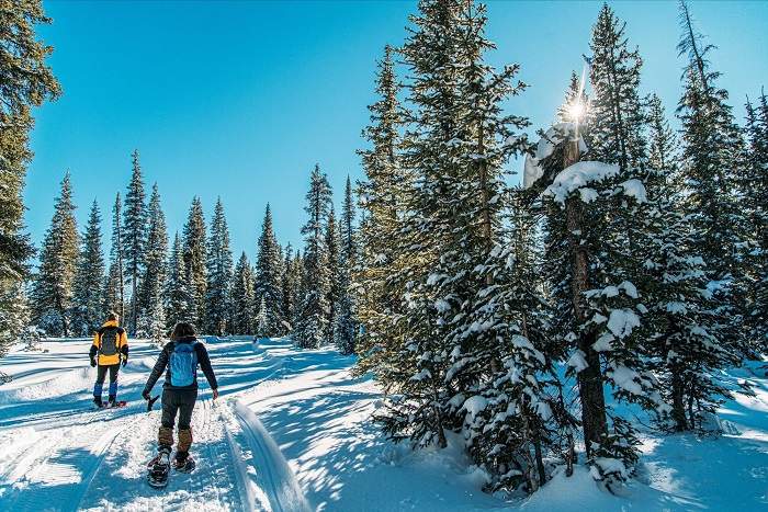Whistler là điểm đến hoàn hảo cho những ai yêu thích trượt tuyết