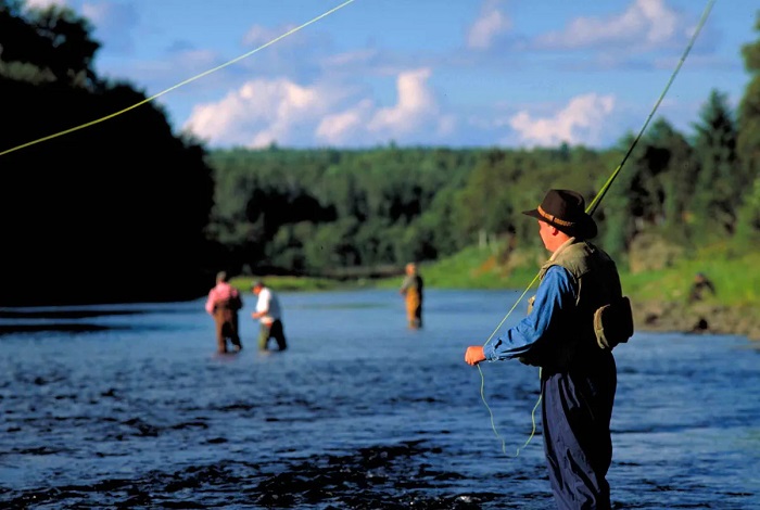Miramichi River là địa điểm lý tưởng để du khách trải nghiệm hoạt động câu cá