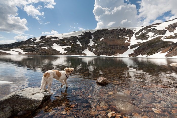 Crater Lake là địa điểm tham quan nổi tiếng của thành phố Smithers