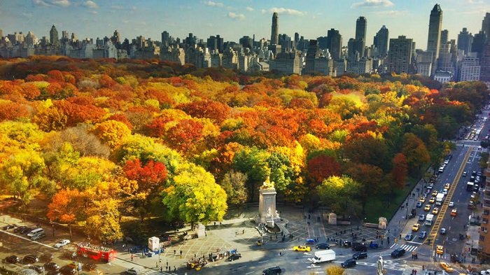 Bạn có thể đến du lịch New York vào mùa xuân và mùa thu