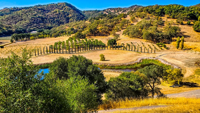 Những cánh đồng nho sản xuất rượu vang nổi tiếng của bang California