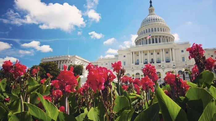 Điện Capitol Hoa Kỳ là điểm đến hàng đầu tại Washington