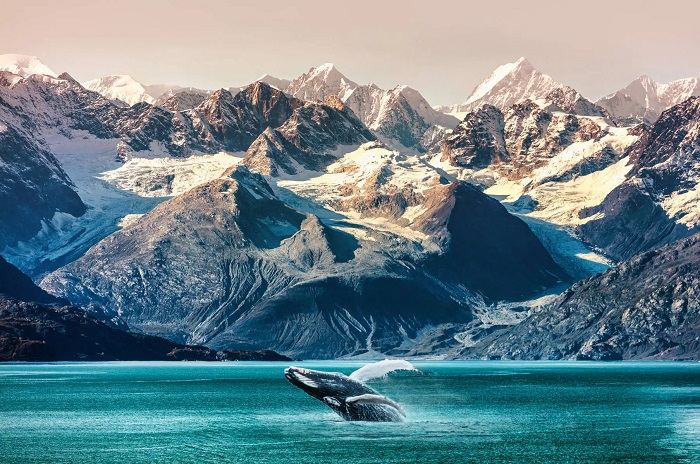 Bang Alaska nổi tiếng với vẻ đẹp thiên nhiên hoang sơ và địa hình độc đáo