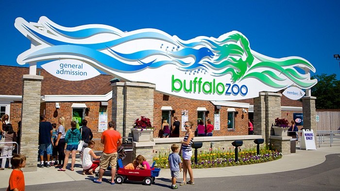 Dạo quanh sở thú Buffalo