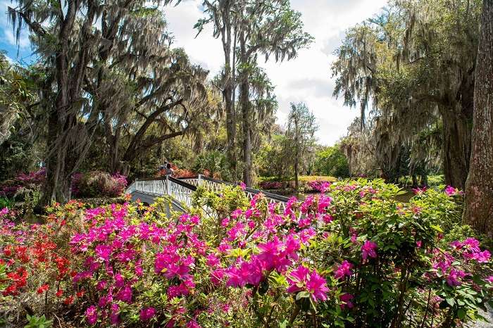 Đặt vé máy bay đi Charleston bạn có thể ghé thăm Magnolia Plantation & Gardens