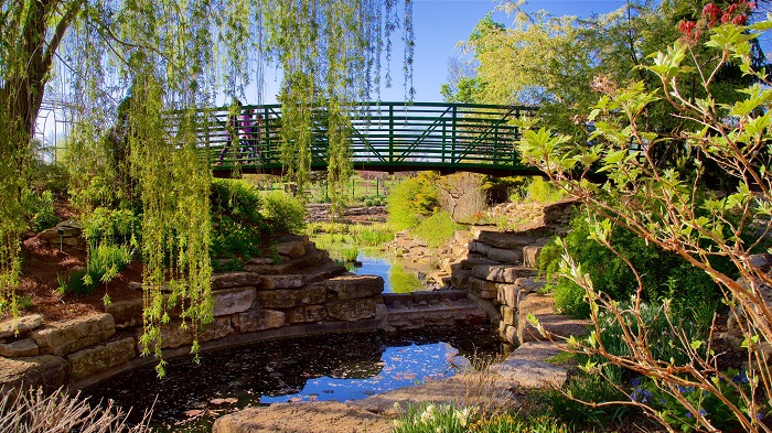 Overland Park Arboretum and Botanical Gardens