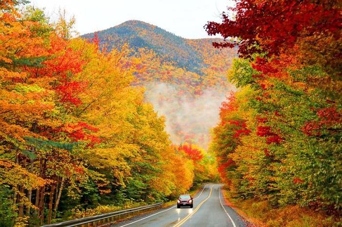 Du khách có thể thuê xe để du lịch tại bang Maine