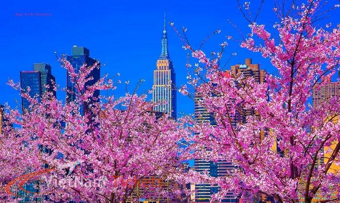 Mùa thu và mùa xuân là mùa du lịch tại New York - Mỹ và cũng là thời điểm đắt đỏ nhất trong năm