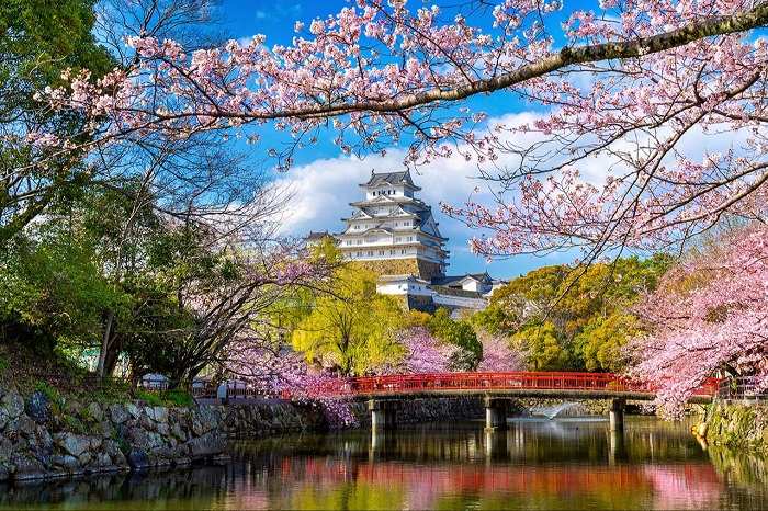 Vẻ đẹp ấn tượng của Tokyo - Nhật Bản vào mùa xuân