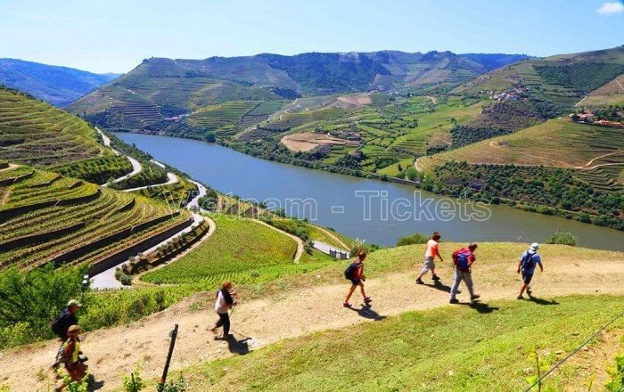 Thung lũng Douro